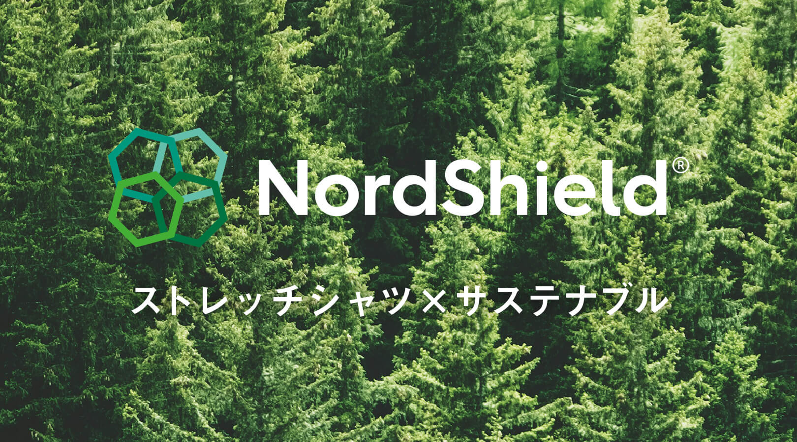 NordShield イメージ