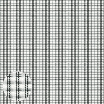 Placeholder Image 2